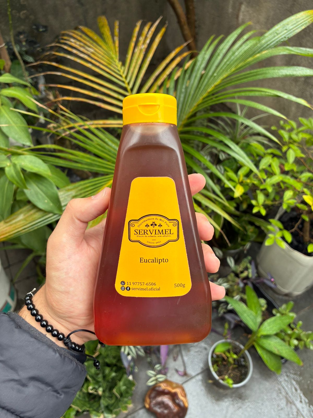 Mel de Eucalipto – 500g